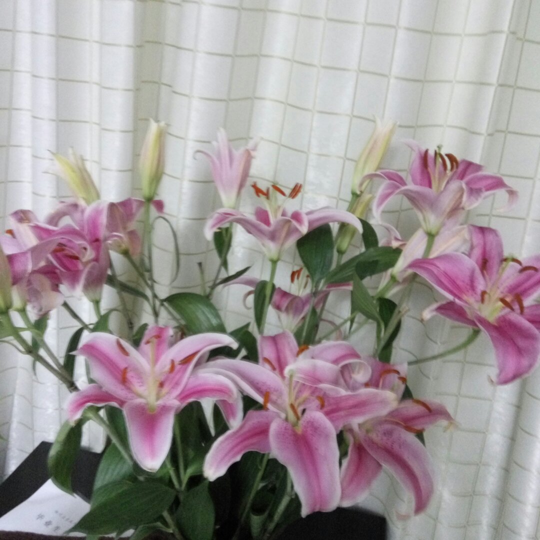 爱美食的吃过
