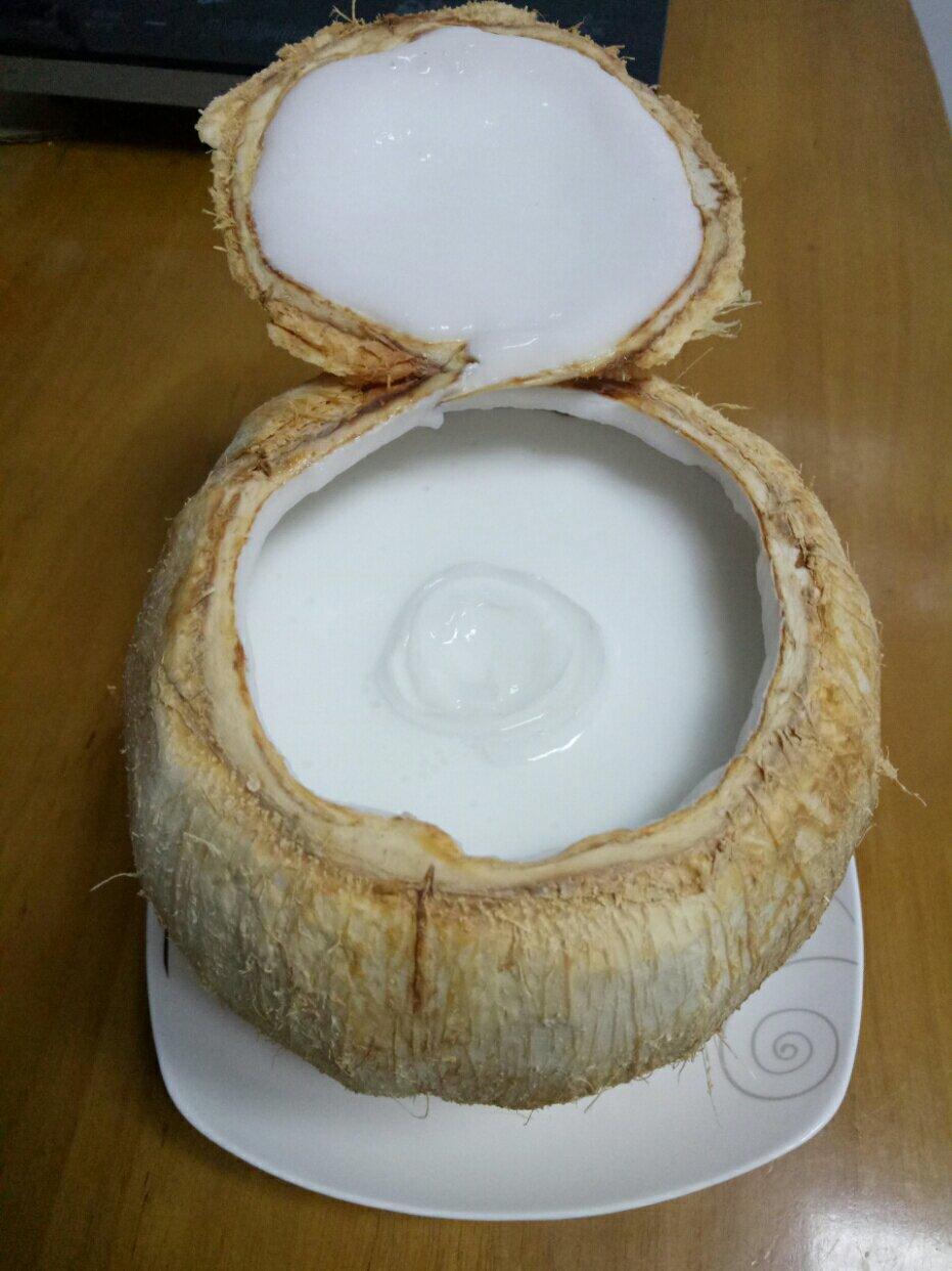 《Tinrry下午茶》网红椰子冻