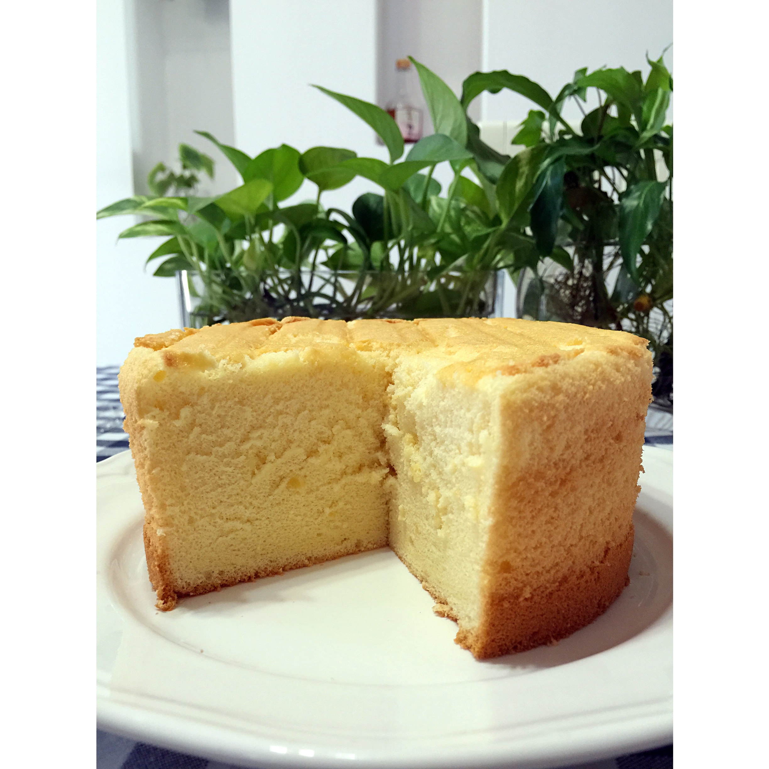 《Tinrry+》戚风蛋糕（6寸配方）（基础、超详细教程）