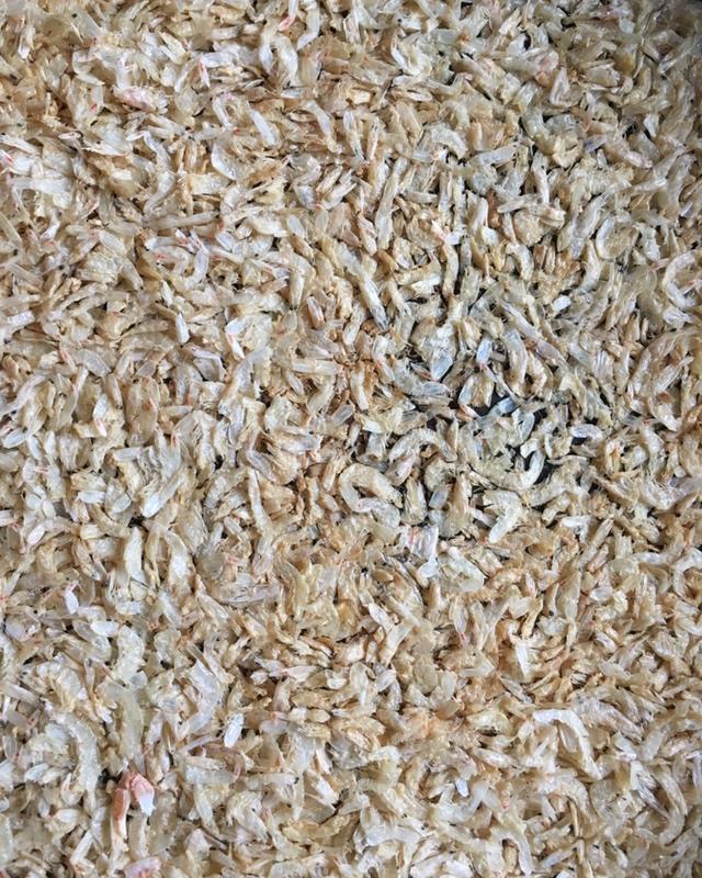 自制虾皮粉（宝宝辅食）