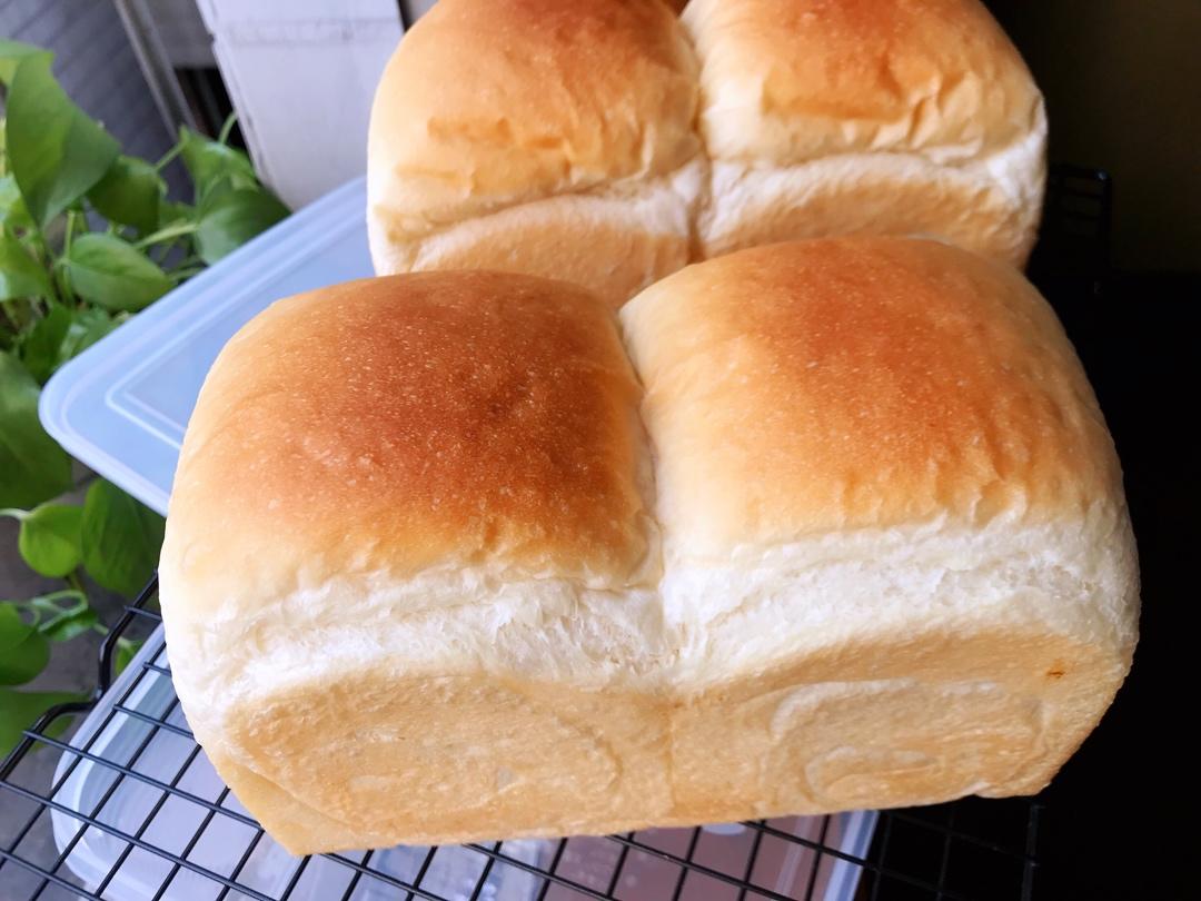 百搭白吐司，大水量软到没朋友