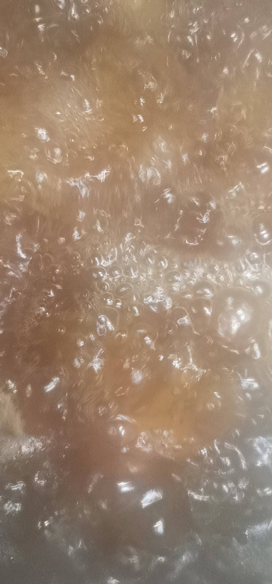酱猪大骨（东北）