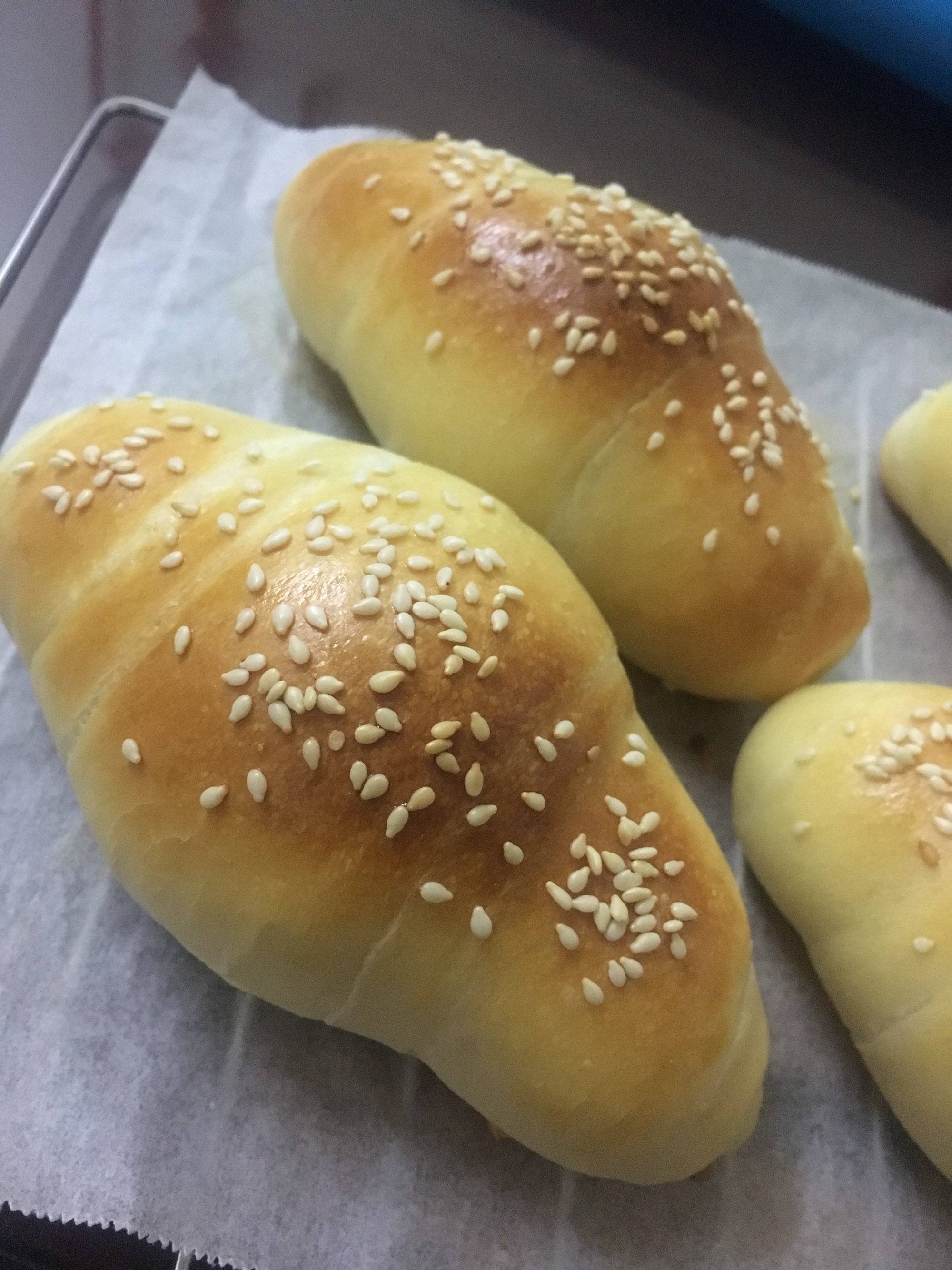 培根芝士面包 波兰种+烫种的做法