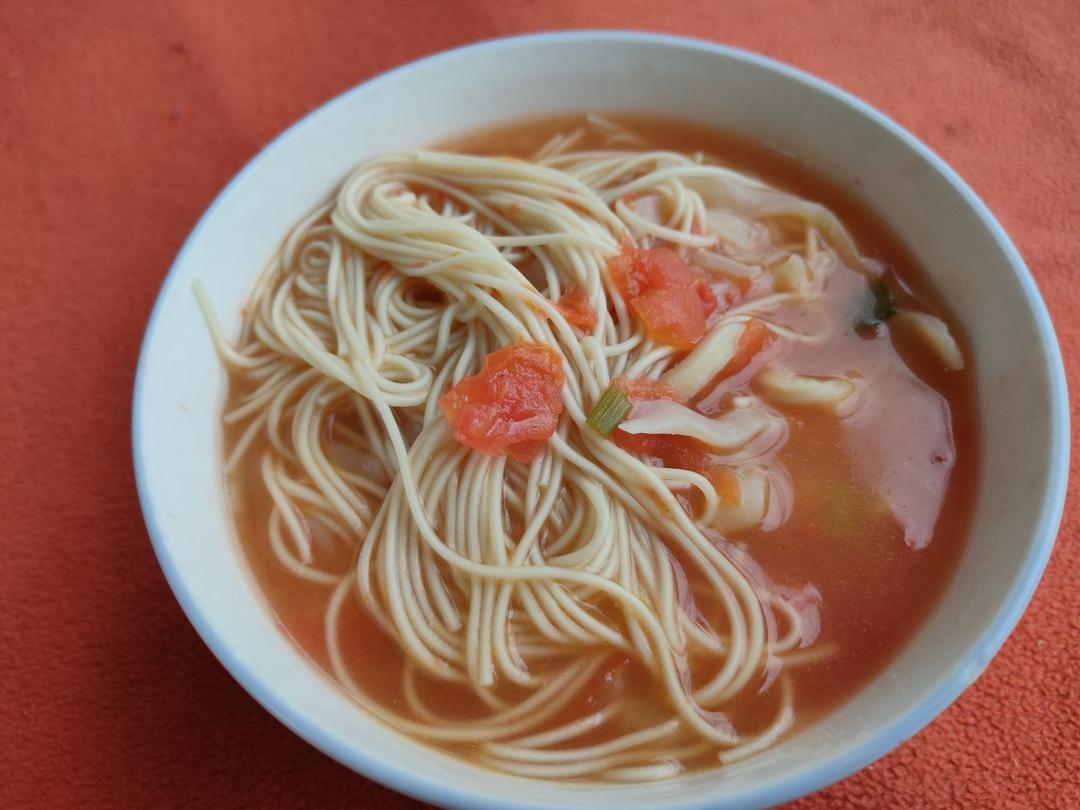 回头见了个喵做的浓郁番茄鸡蛋面10min73美味再一碗