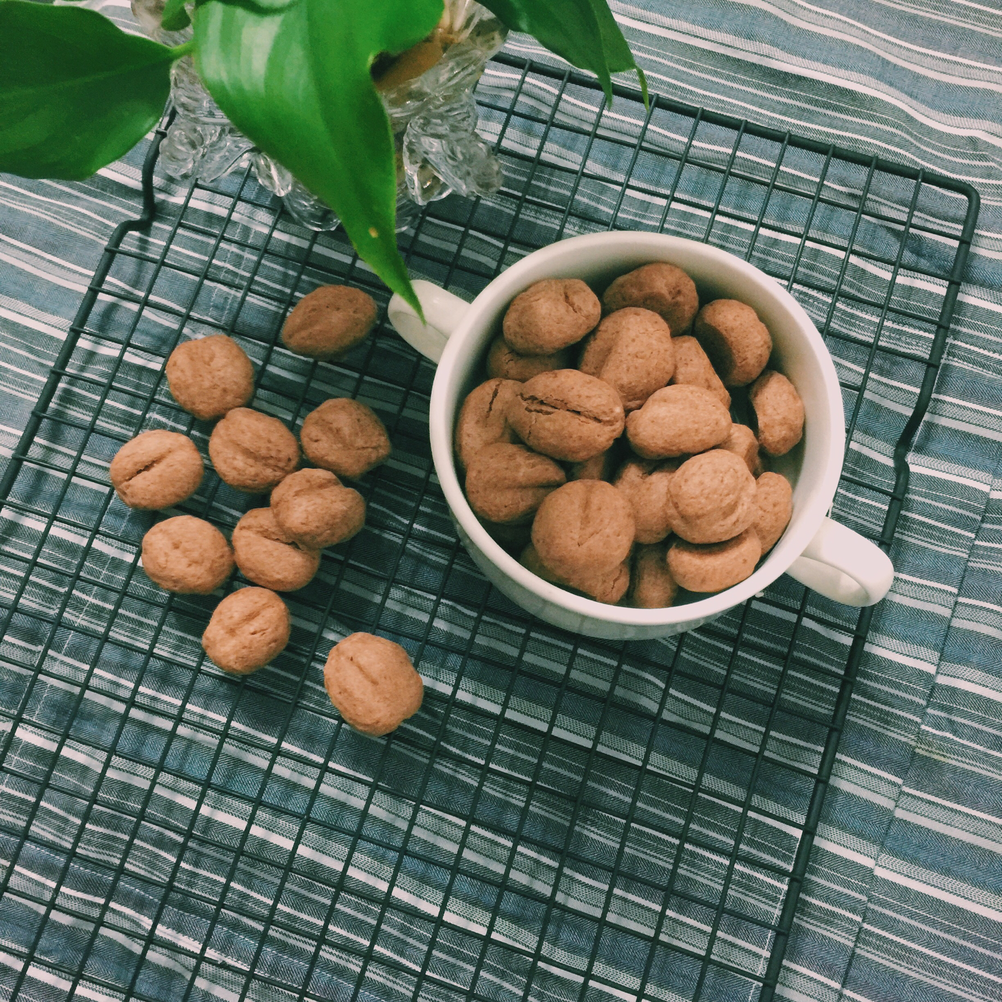 咖啡豆豆饼干