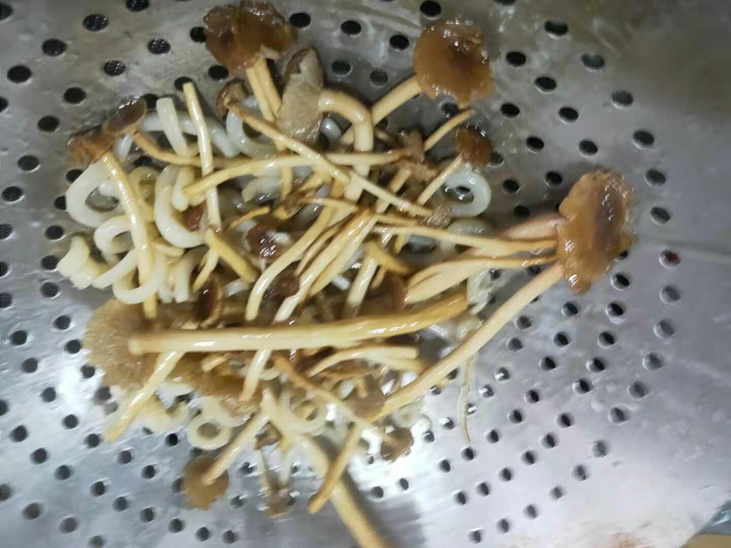 茶树菇炒鱿鱼丝的做法 步骤2