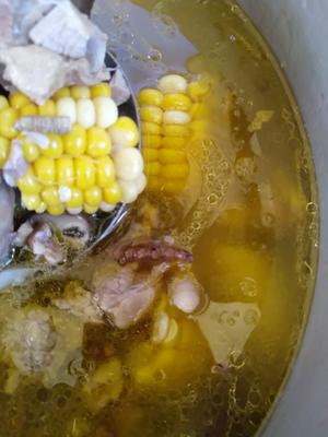 黄金菇、虫草鸡汤的做法 步骤4