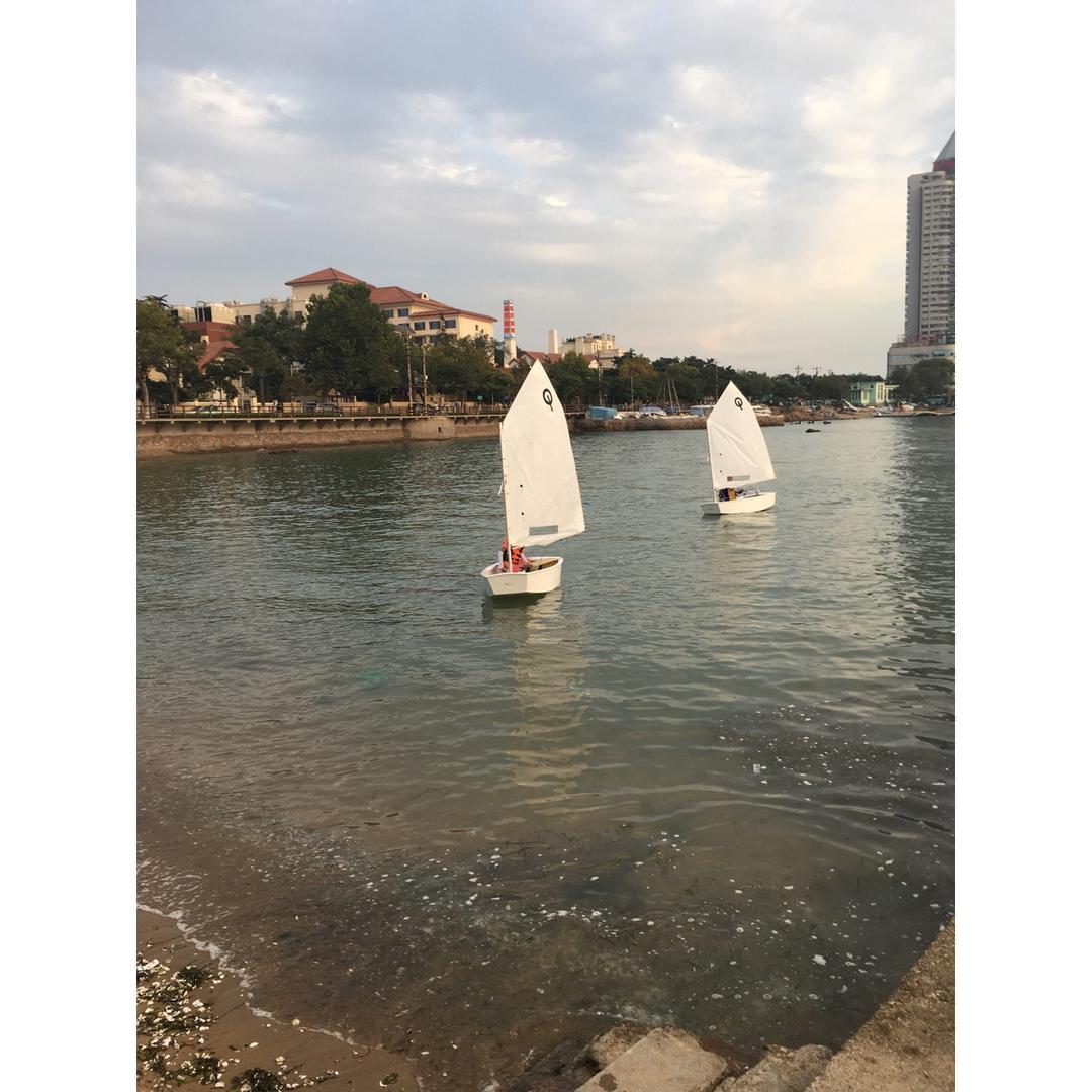 晚餐•2016年11月18日