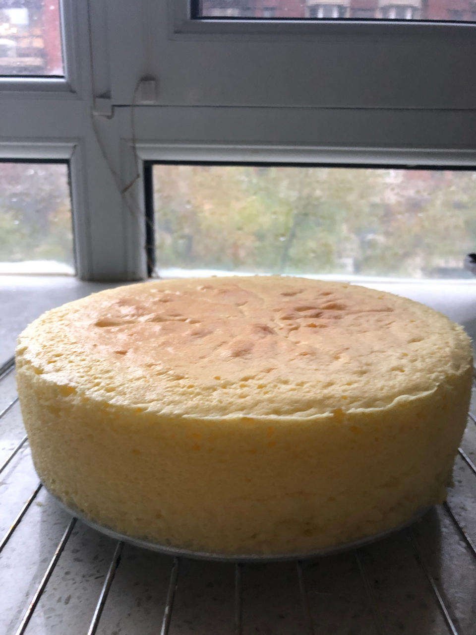 6寸轻乳酪蛋糕-全网最简单版本