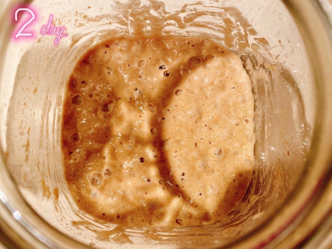 鲁邦液种