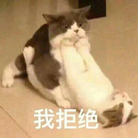 穿袜子的猫_hwnl的厨房