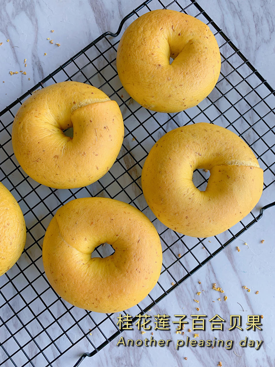 【桂花贝果】QQ弹，香气扑鼻，秋天的最爱