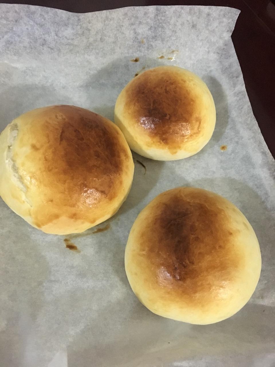 汉堡胚（中种法）
