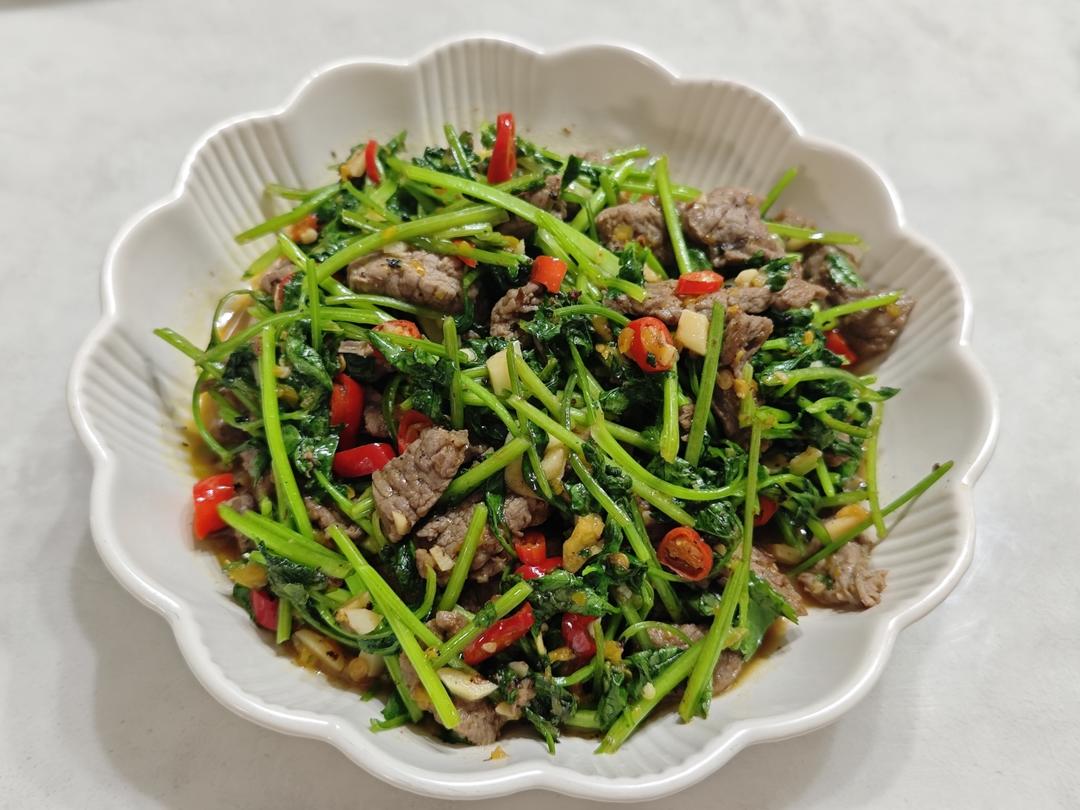 香菜炒牛肉，香辣下饭，爱吃香菜的朋友看过来，拌饭绝了