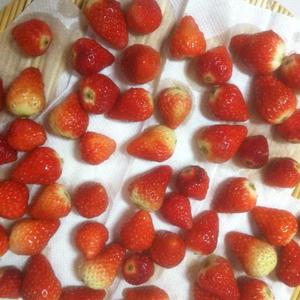 草莓豆沙紫薯球的做法 步骤2