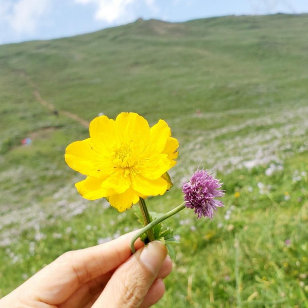 飞飞飞啦