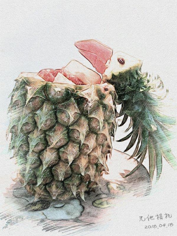鸟语花香菠萝炒饭