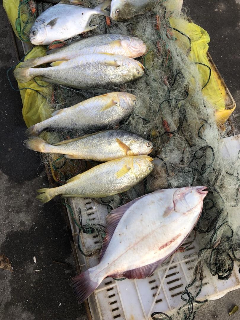 记录我做过的海鲜们