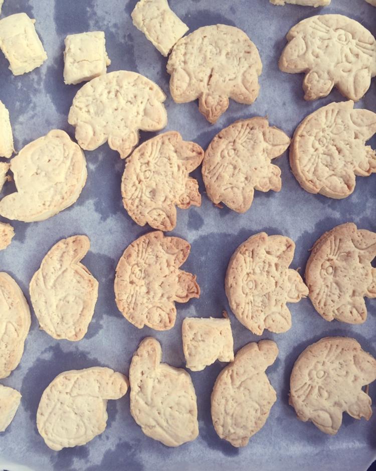 宝宝奶蛋营养饼干