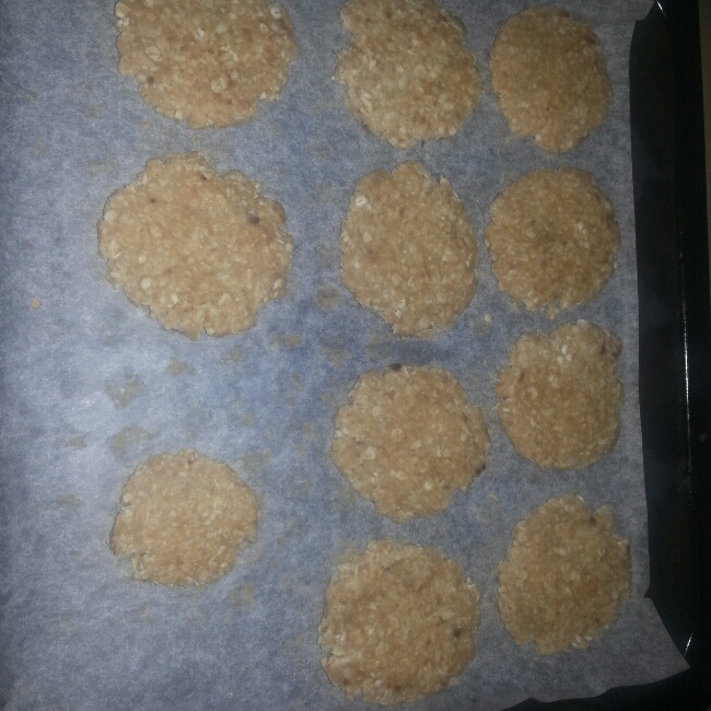 燕麦饼干