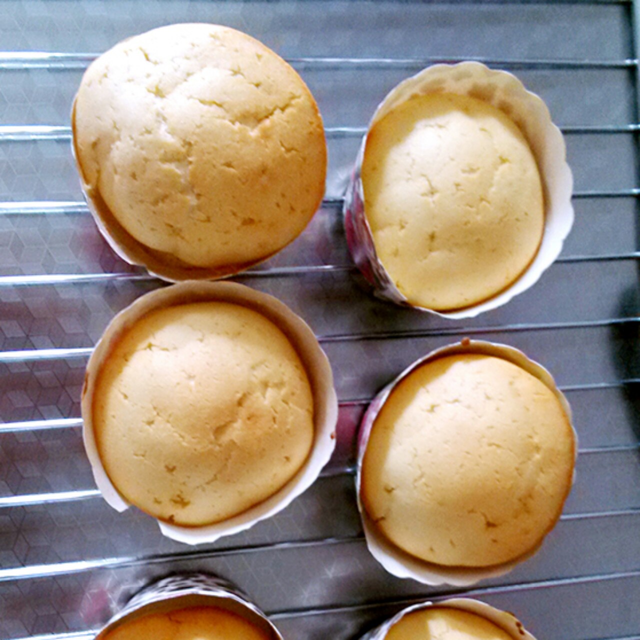 不会回缩的纸杯蛋糕