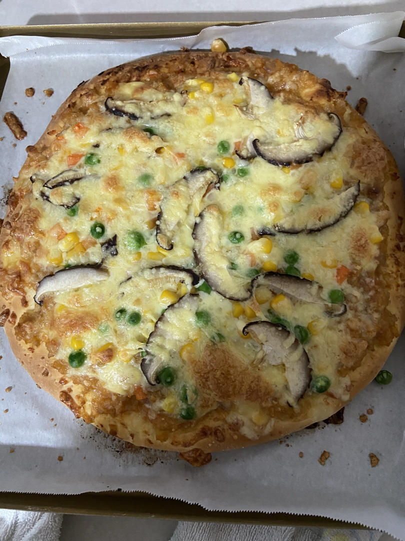 美味披萨（家庭版➕饼胚制作过程 九寸）