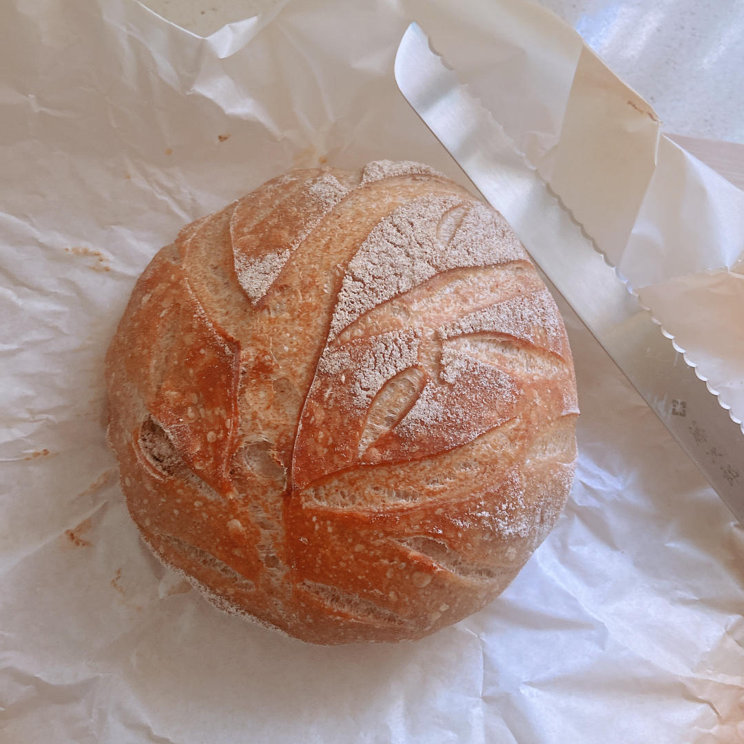 天然酵种欧包之练习