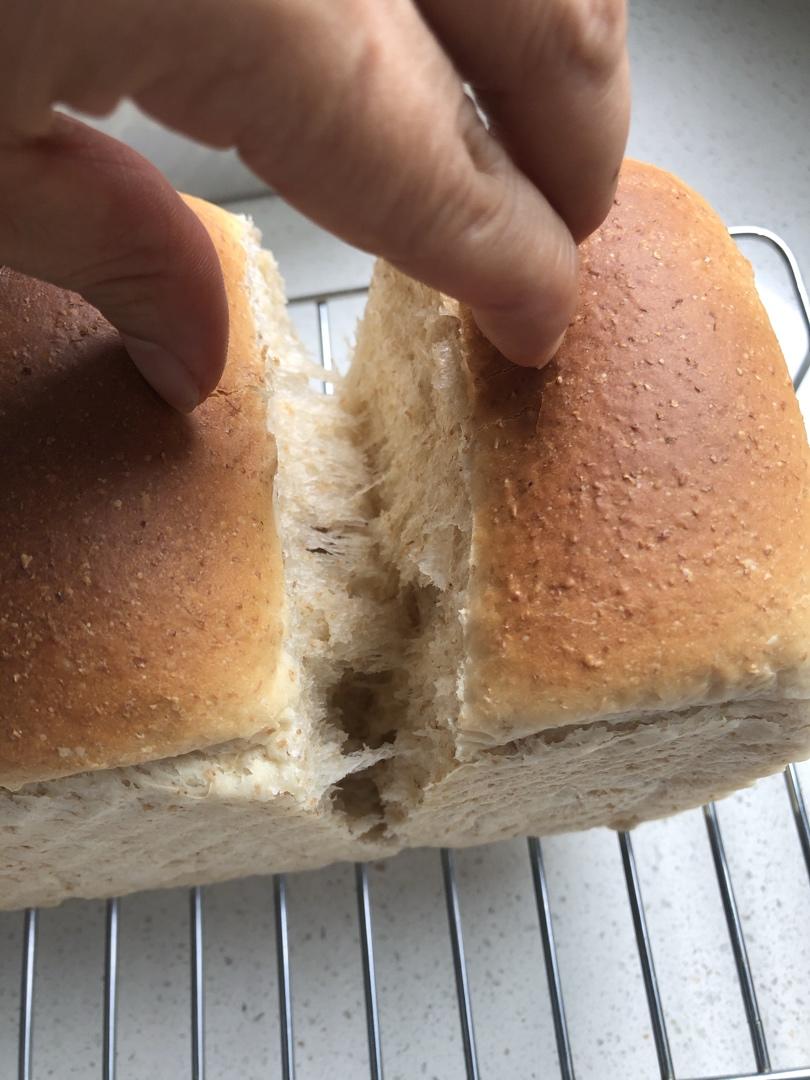 手揉全麦吐司🍞（轻松到哭泣的💧水合法）