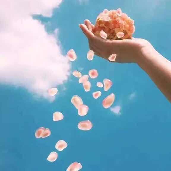 毛毛雨爱轩宝