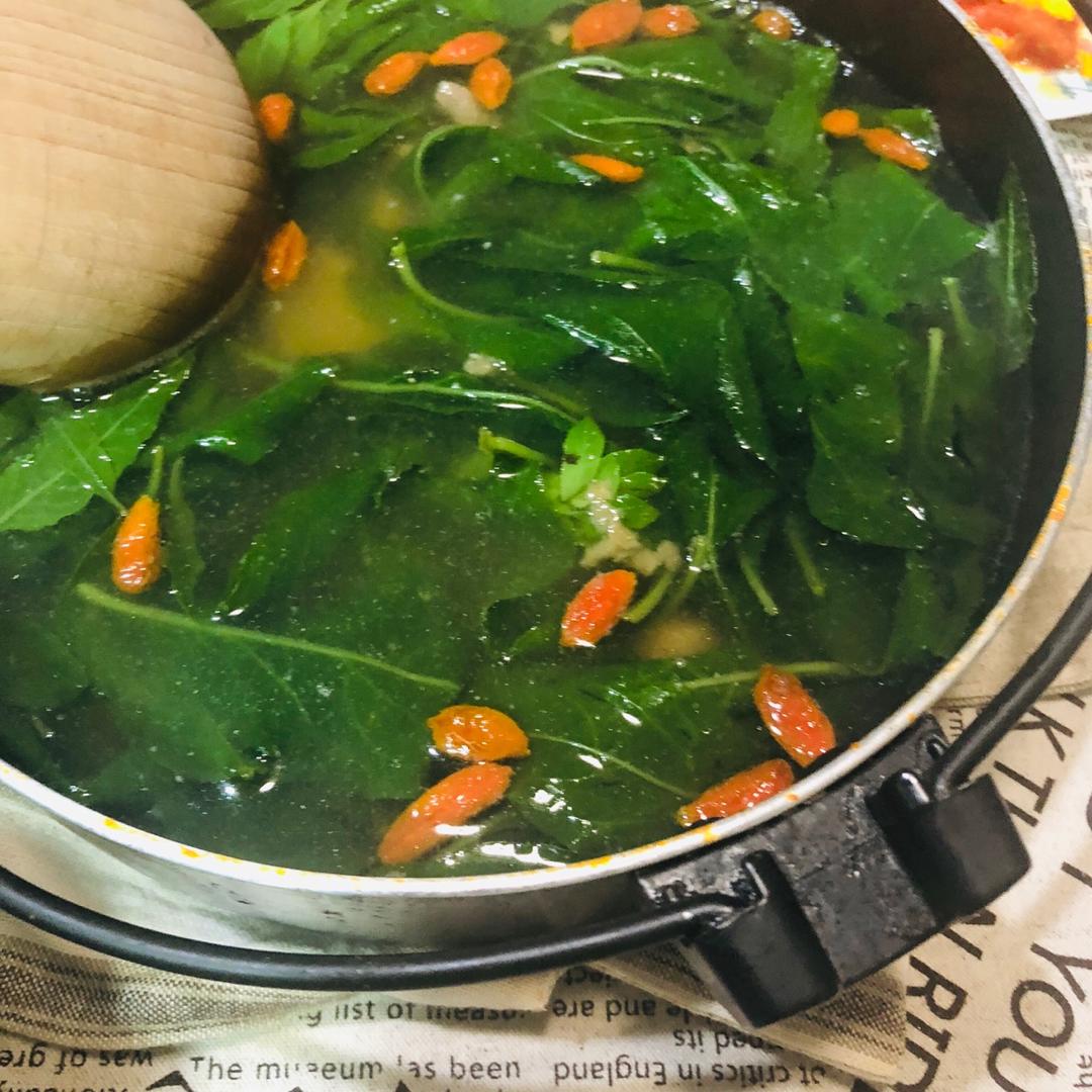 枸杞叶猪肝汤