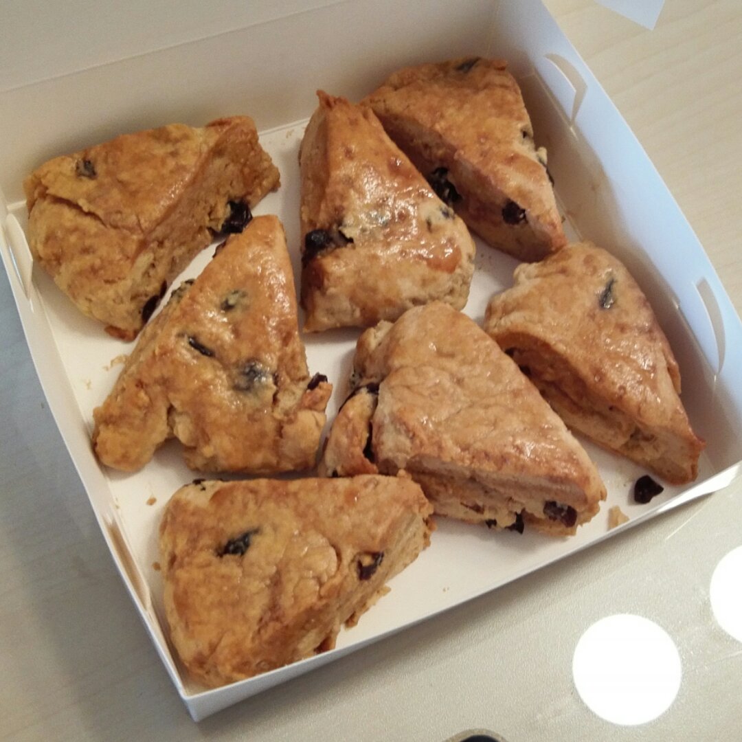 提子百利甜司康