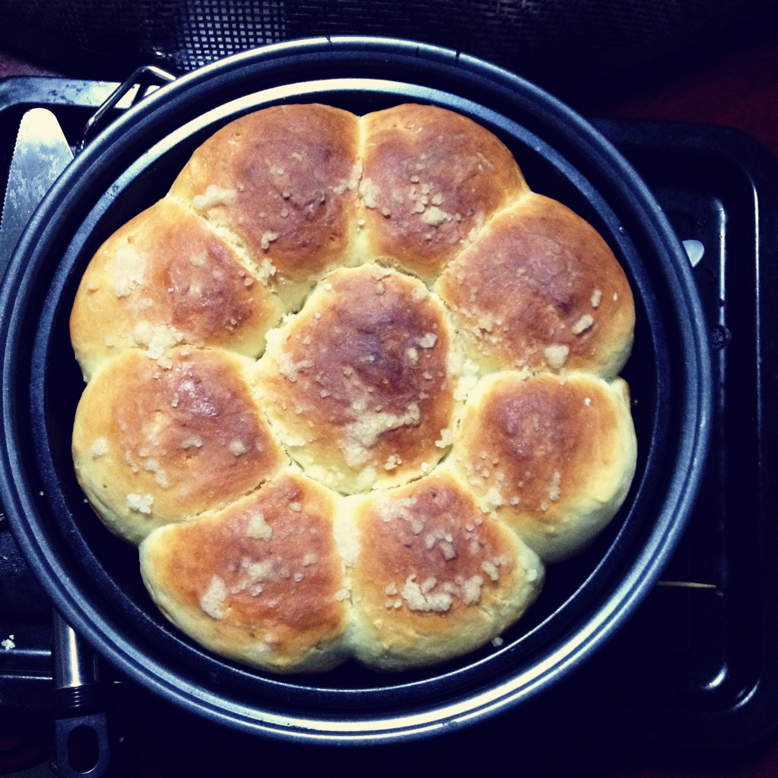 牛奶圆面包（爱和自由配方）