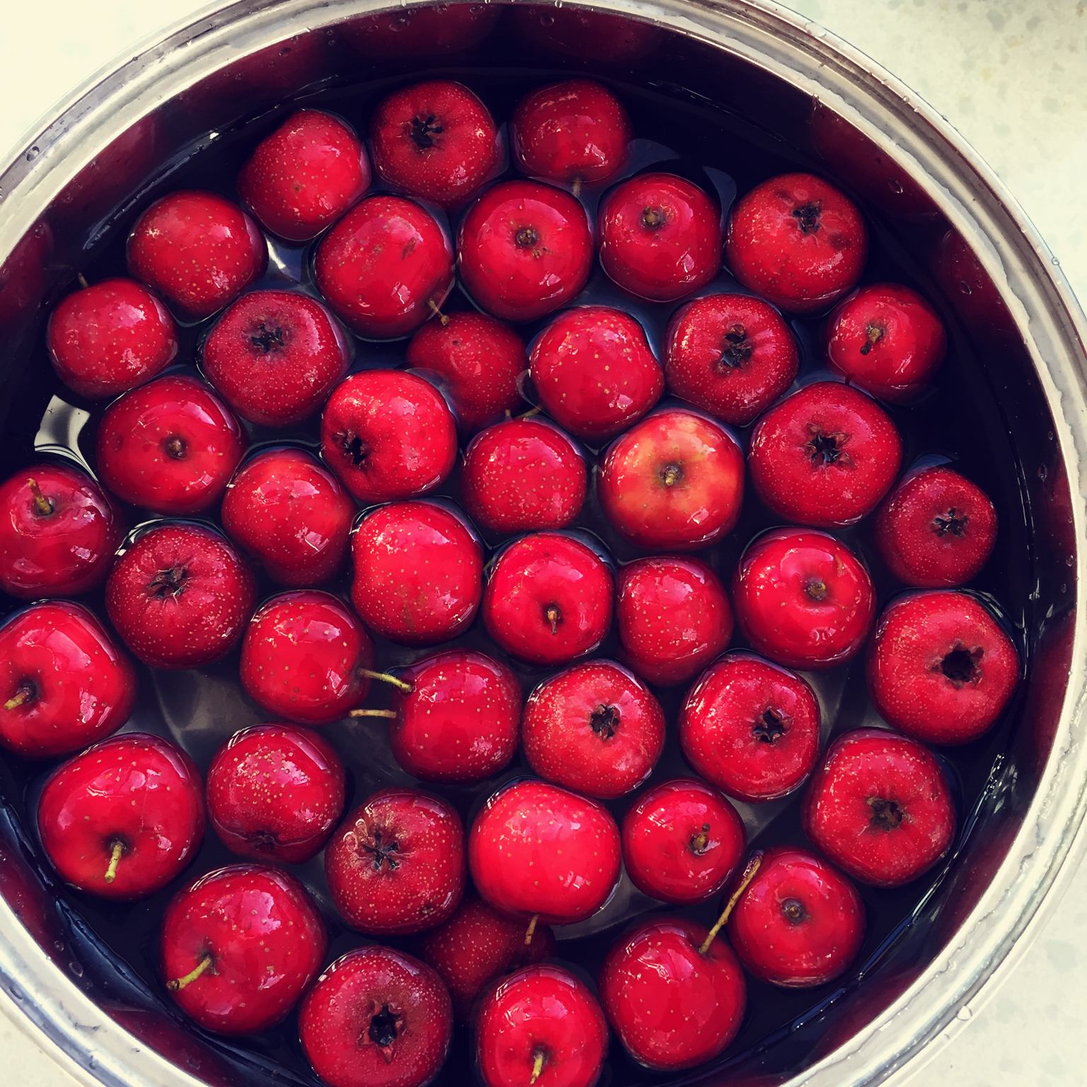 山楂膏「子墨宝宝的无添加零食」