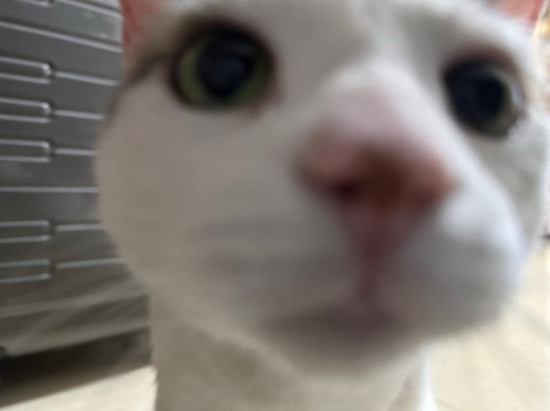 炸厨房会员