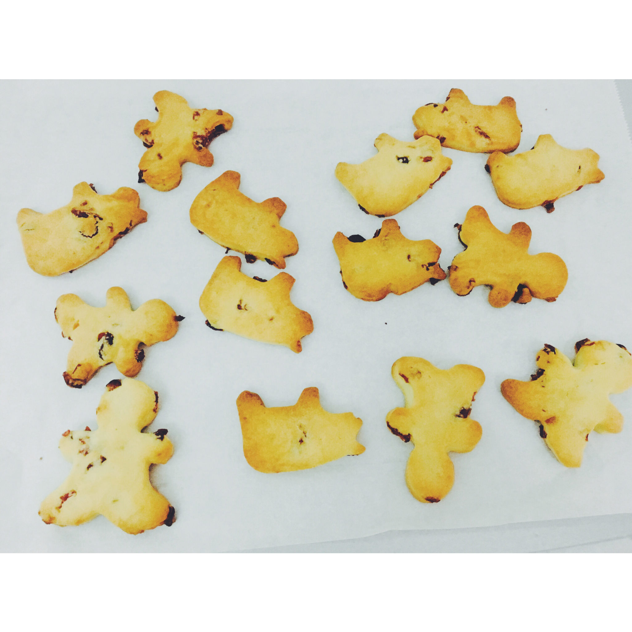 蔓越莓饼干--新手烘焙0压力 #皮黑森林#