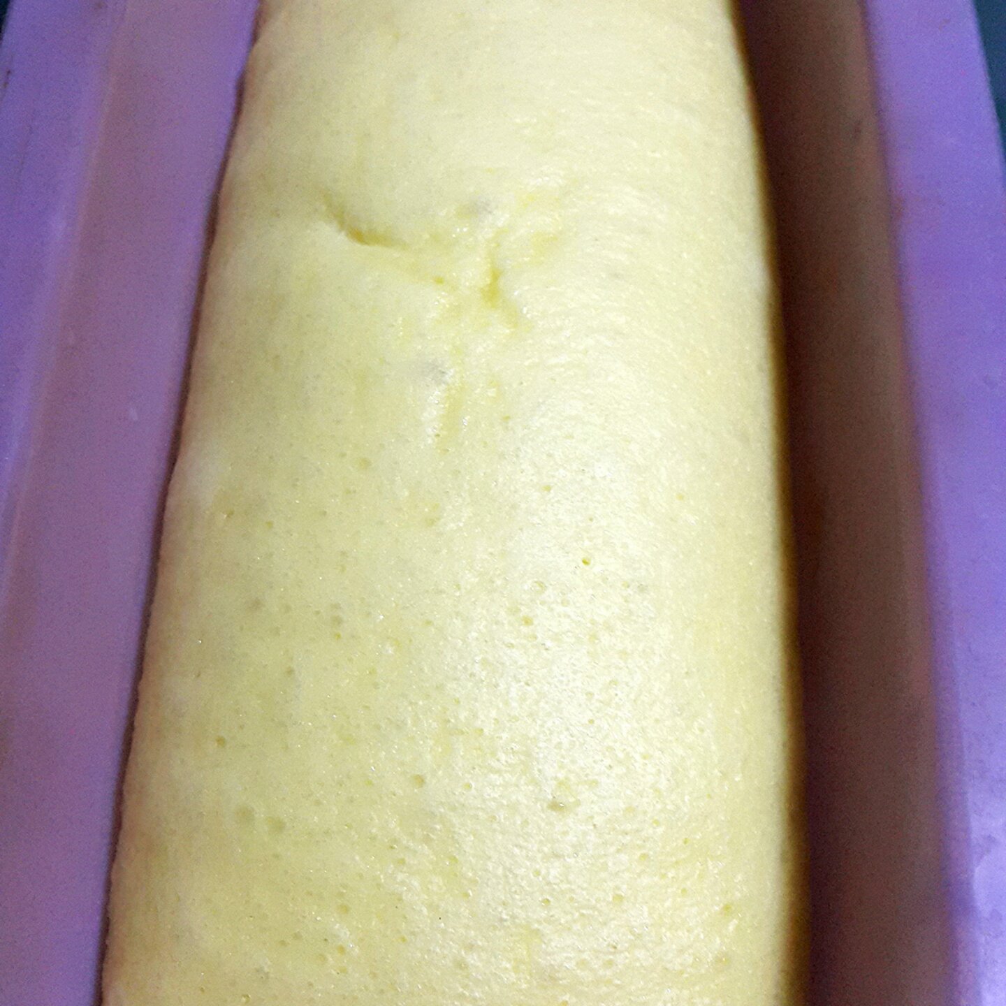 马拉糕（酵母版中种法）19.3.23更新