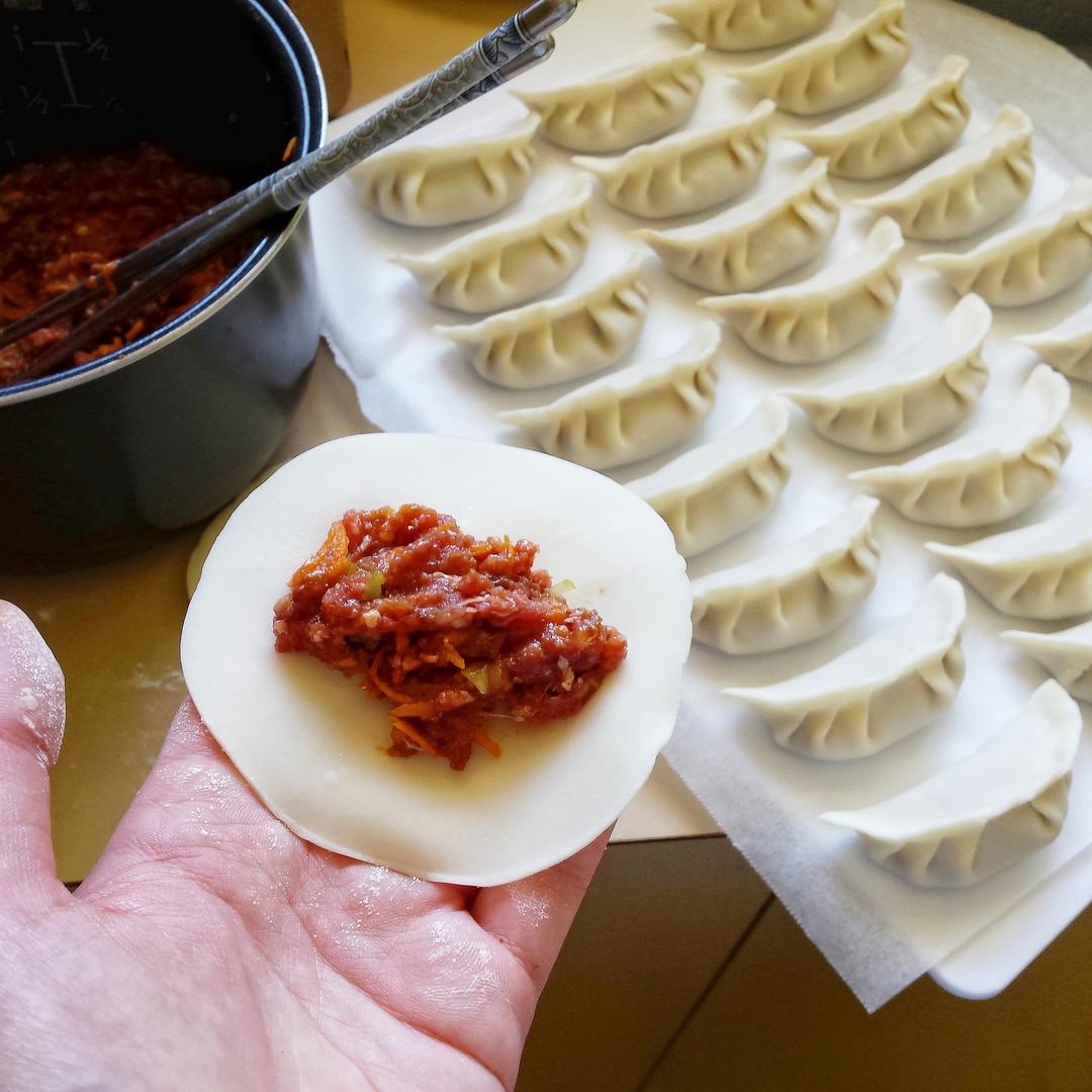 牛肉胡萝卜馅儿饺子