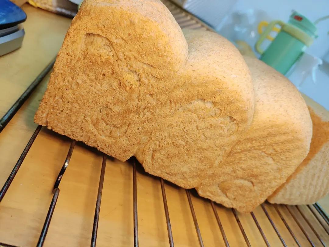 波兰种全麦吐司