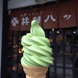 小石向日葵