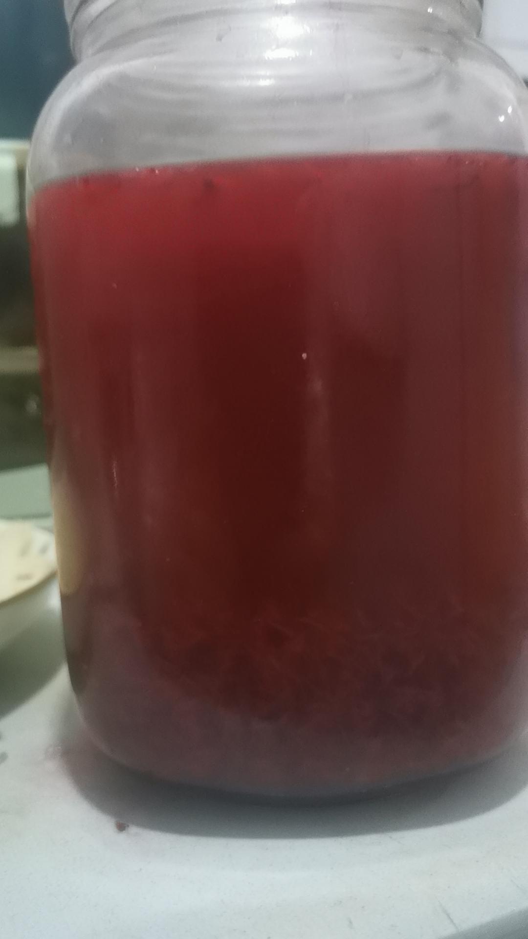 杨梅汤（零失败）