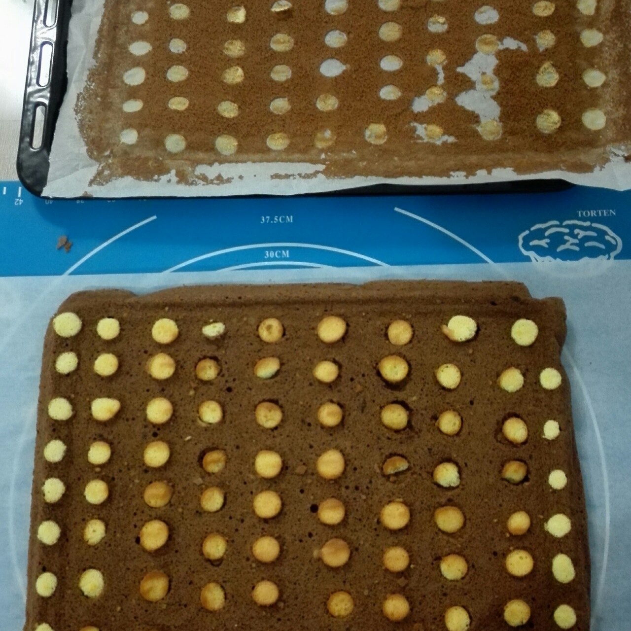 波点可可奶油蛋糕卷
