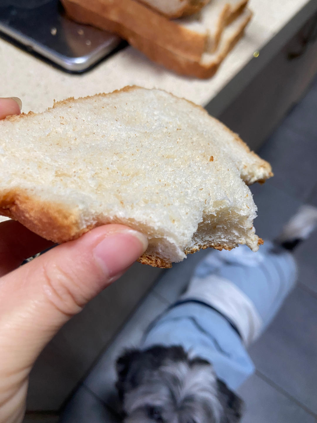 面包机做全麦软吐司