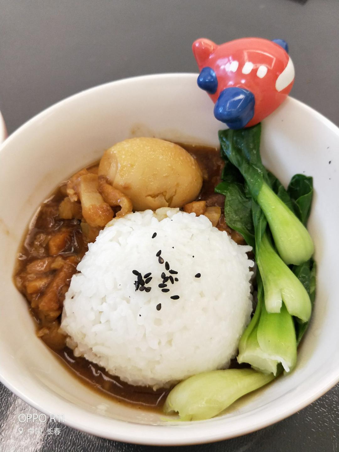 台湾卤肉  台湾卤肉饭Braised Pork Rice