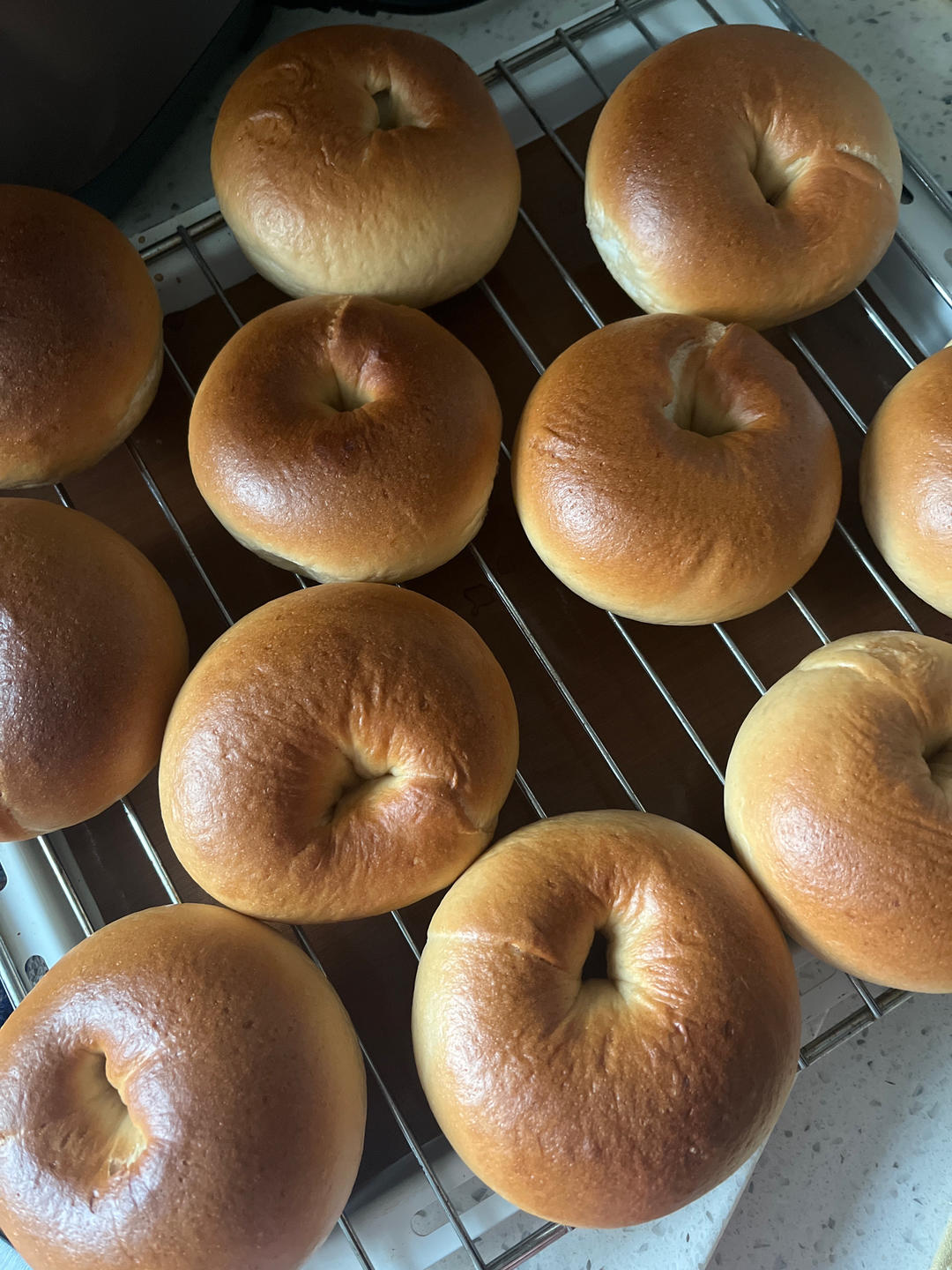 （波兰种）贝果