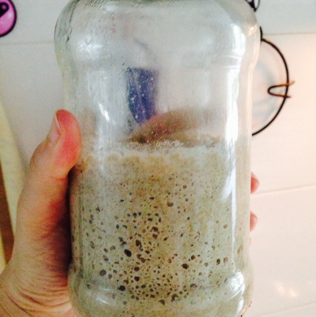 葡萄干酵母液、酸奶快速酵母液和天然酵种