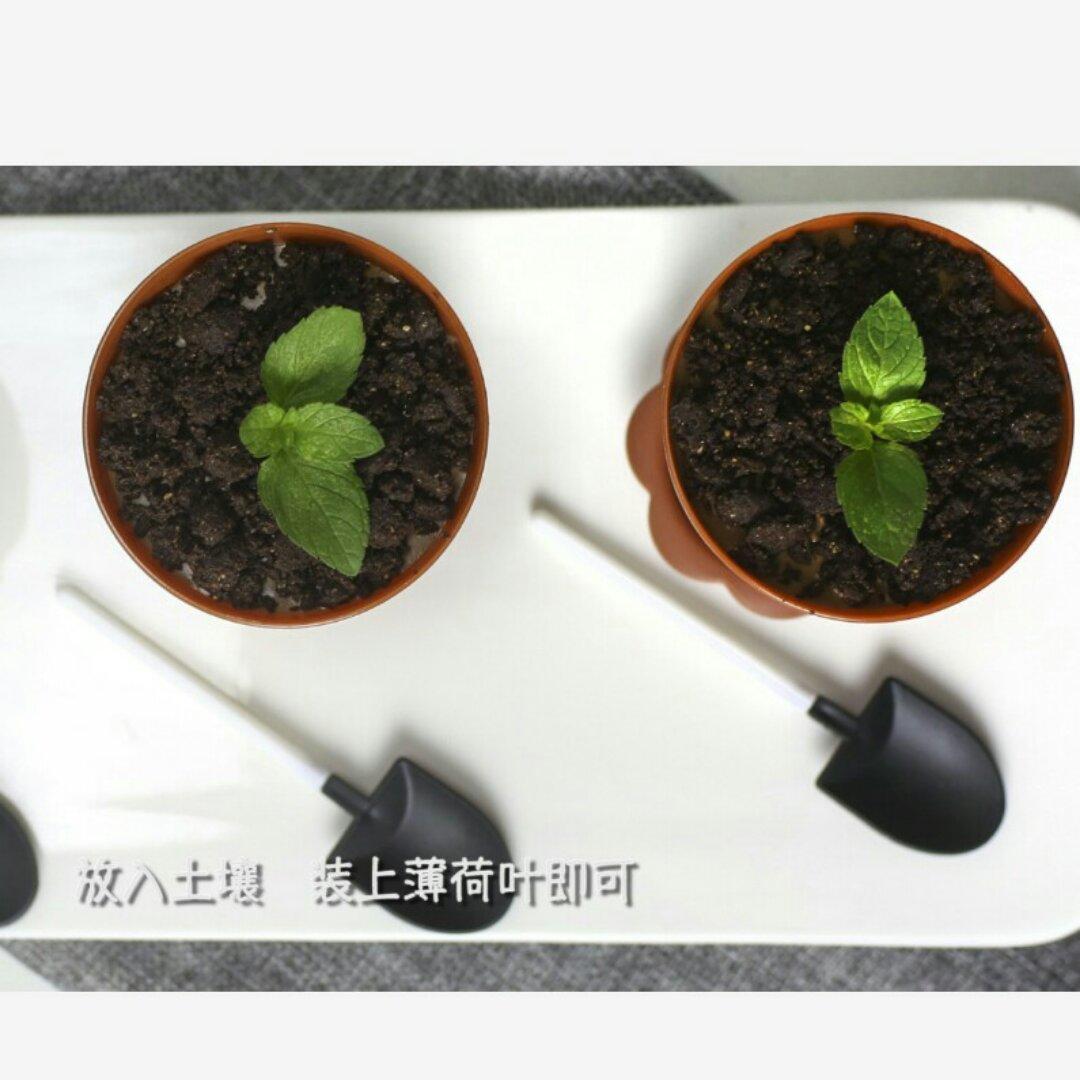 盆栽蛋糕