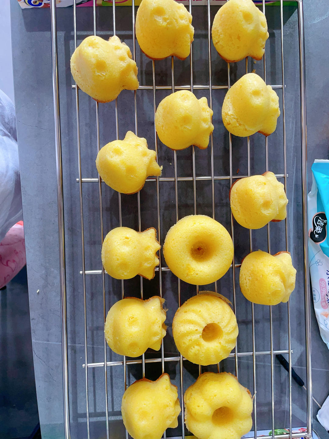 玛德琳（蓝带方）