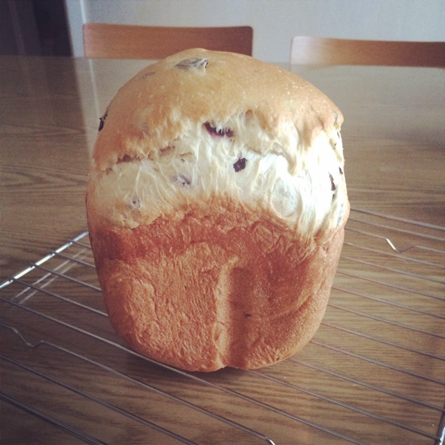 面包机版 葡萄干吐司