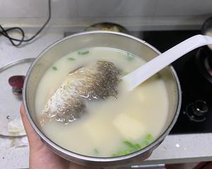 鲫鱼豆腐汤的做法 步骤9
