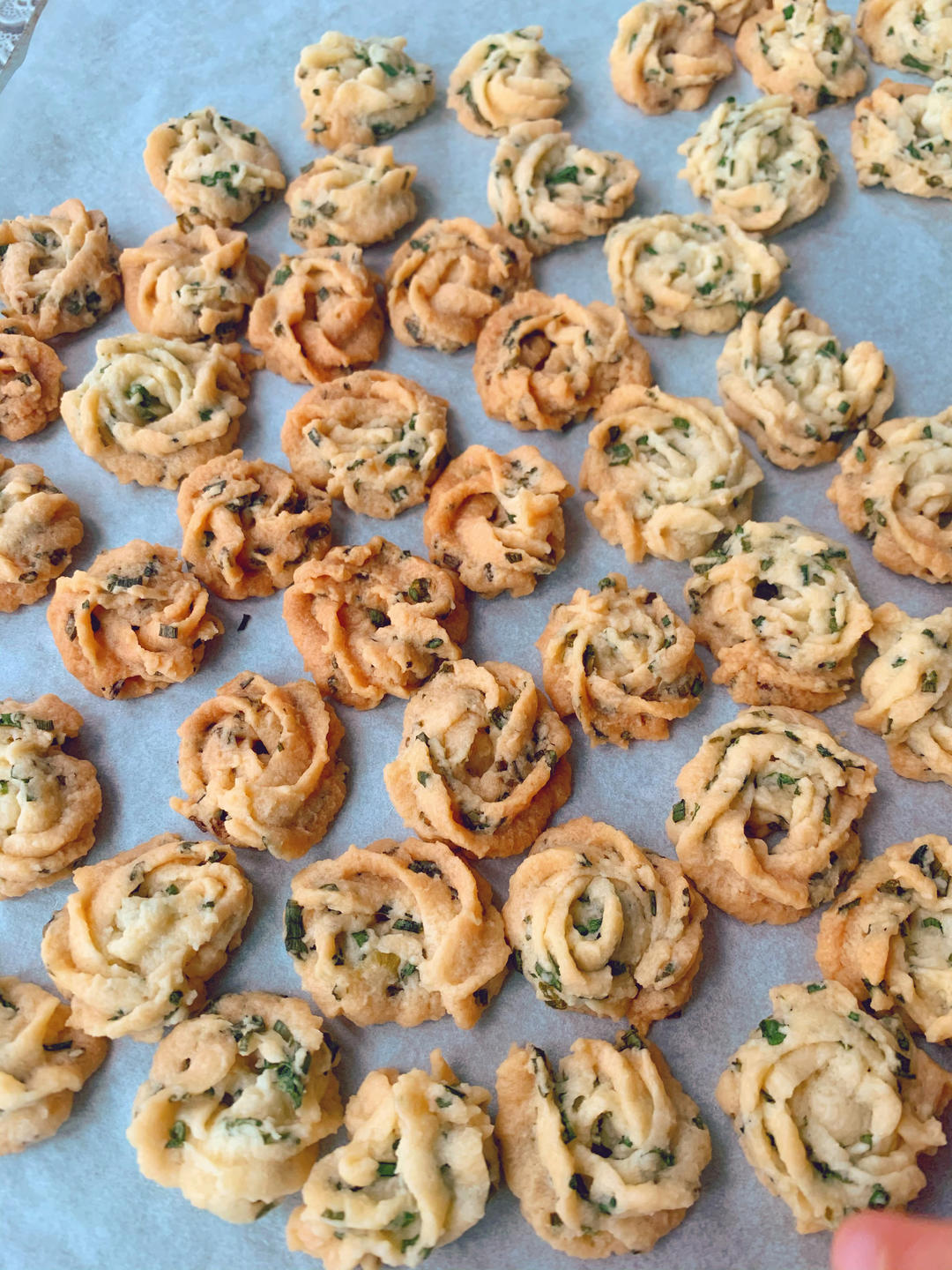 葱香曲奇——酥脆的咸味饼干